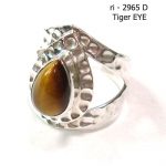 Tiger EYE